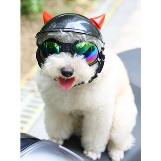 pet EyewearPet Teddy British Shorthair Dog Cat Sunglasses Glasses Helmet New Motorcycle Helmet Acces