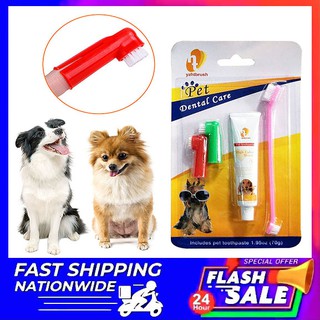Pet Dog Cat Dental Toothpaste w/ Toothbrush Set