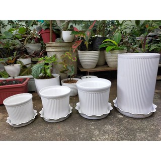 Set of 2, 4, 6: CORINTHIAN WITH PLATE (White and Orange) Garden Indoor & Outdoor Pot