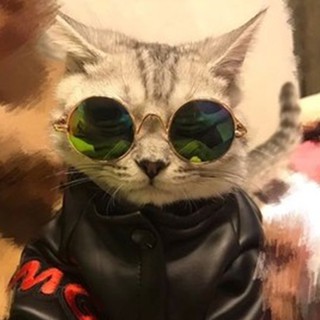 Fashion Cool Puppy Cat Glasses Round Sunglasses Eyewear (2)