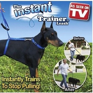 【Ready Stock】❡❈﹊INSTANT TRAINER