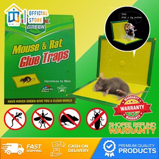 Wintop Hovex Home and Living Mouse Mouse & Rat Glue Traps Pest Control | Mouse Trap