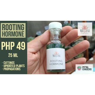 Masitera Rooting Hormone 25mL - Succulents