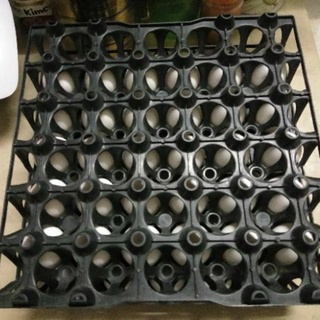 Food & Beverage◙﹉✧30holes/EGG TRAY/HEAVY DUTY (fit to XL/JUMBO size eggs) (Regular s,m,l size)
