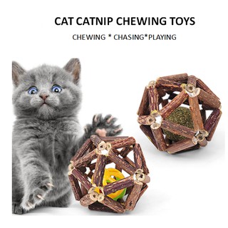 Cat Chewing Stick With Catnip ball Kitten Chasing ball