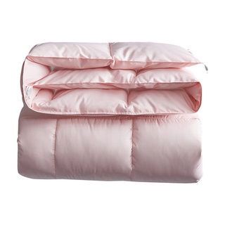 Quilt winter quilt Four Seasons core single student dormitory quilt spring and autumn winter is too