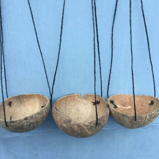 Hanging Pots made of Coconut Shells (4)