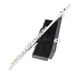 Western Concert Flute Cupronickel Plated Silver 16 Holes C Key Woodwind Instrument with Cleaning Clo