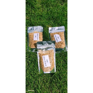 wheat seeds pet grass barley seeds pet grass 100g