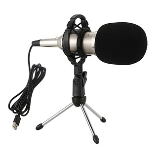 Hzm&C Condenser Bm 800 Usb Wired Microphone with Shock Mount for Radio Singing Recording Kit ZJP
