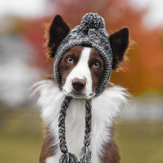 ✳Winter Warm Knitted Pet Dogs Hats Windproof Dog Hats Dog Beanie Knit Cap Christmas Clothes Accessor (2)
