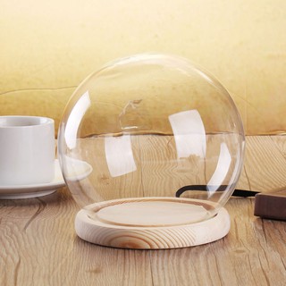 Warmhouse Glass Stand Display Dome Cloche Globe Bell Jar Cover