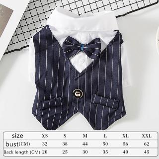 Pet Clothes Cat and Dog Spring and Summer Suit Cat Thin Small Suit Teddy Shirt (8)