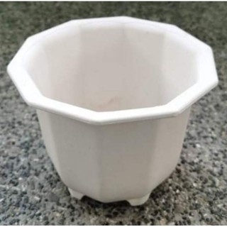 white plastic pot polygon 5x7 PLS CHOOSE J&T FOR SHIPPING