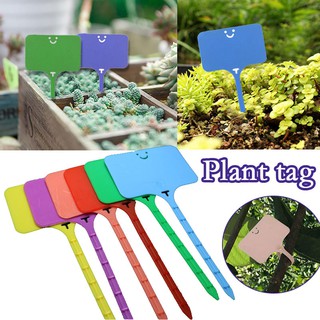 100pcs/set Plant Labels T-Type Garden Tags Plants Waterproof 4 Colors Plant Tags for Plant Sign