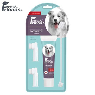 Oral Care❃♣Fresh Friends Beef Flavor Toothpaste and Toothbrush for Dogs Set - 90g Dog Toothpaste & T