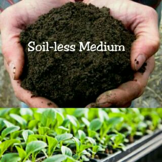 Soil-less Medium (Best potting mix for your greens)