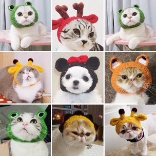 Cat HatPet hat dog ear hat cat headgear lion shape pet decoration dress up headdress plush cuteTrack