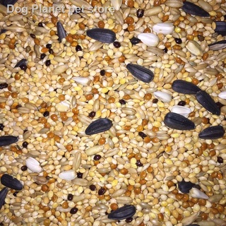 ▦┅African Mix Bird Seeds 1kg