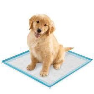 Dog Training Pads & Trays○【HAPPY PAWS PET】Pet Training pads (PER PIECE)