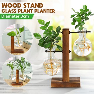 LH Glass Hydroponic Plant Vase Terrarium With Wooden Stand Transparent Flower Pot