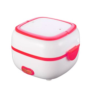 Multifunctional Stainless Steel Electric Rice Cooker (1)