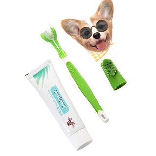 hot sale Pet Dental Care Toothpaste w/ Toothbrush Set
