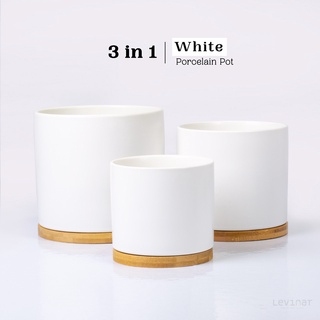 FREE SHIPPING‼️ 3 in 1 High Quality White Ceramic Porcelain Succulent Flower Plant Pot Garden Pot