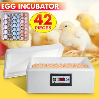 22pcs/32pcs/42pcs water bed incubator incubator automatic small household water bed incubator chicken duck goose pigeon peacock incubator (1)