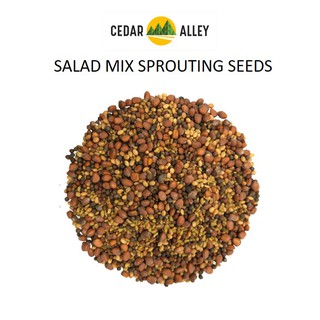 Salad Mix Sprouting Seeds 50g (Microgreen Seeds)