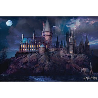 LICENSED Harry Potter Poster - Hogwarts by Night - 36 x 24 inches