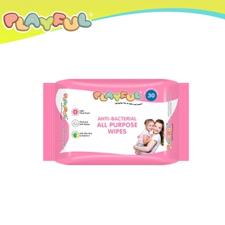 PLAYFUL Anti-Bacterial All Purpose Wipes 30's