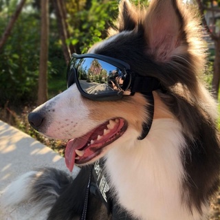 ☒▼Pet glasses, dog supplies, goggles, waterproof, windproof, sunscreen, UV protection, big dog glass