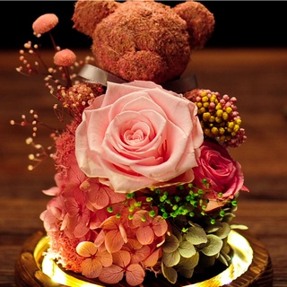 Eternal Preserved Love Rose Bear Deer Eternal Flower Valentines Day Mother Day Gift Artifical