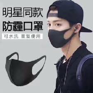 Den's21 Facemask Plain Korean Version Stereoscopic and Anti-Dust