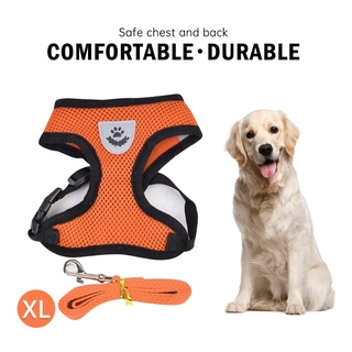 Cute Dog Harness Puppy Fashion Mesh Vest + Leash Lead Set Pet Clothing (6)