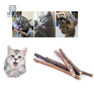 Cats Cleaning Teeth Catnip Pet Molar Toothpaste Silvervine Stick Cats Teeth Cleaning Stick (7)