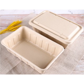 [PER PIECE] 2500ML Sugarcane Bagasse Party Trays Pulp Eco-Friendly Food Containers Packaging Boxes (1)