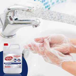 Lifebuoy Pro Antibacterial Handwash 4L (7)