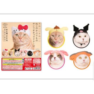 Kawaii Pet Cat Mascot Hat Sanrio Character