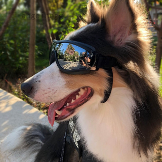 jiangqinngg.ph Large dog glasses dog supplies goggles waterproof windproof sunscreen UV protection big dog glasses