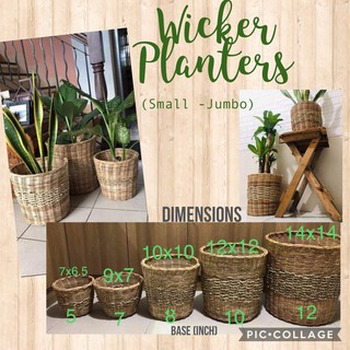 Wicker Plant Baskets (1)