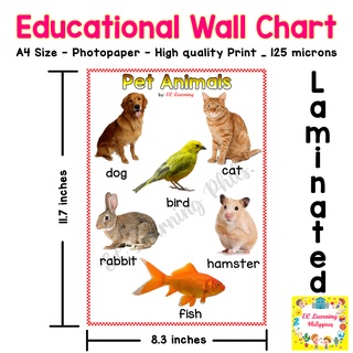 A4 PET ANIMALS Laminated Educational Chart for kids WALL CHART