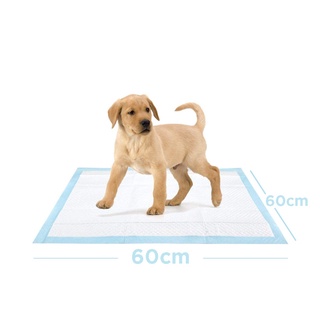 【Ready Stock】✽◘✒◄20pcs Petter Care Training Pee Pads for Dogs - Large Pad 60x60cm Dog and Puppy