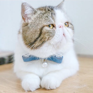 Dog bell collar lace bow tie cute necklace neck collar cat collar small dog accessories pet accessor