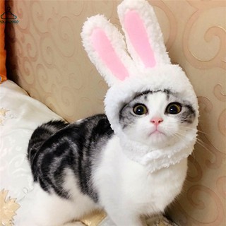 ML| Pet Mini Cute Rabbit Ears Pet Cats Hat Lovely Style Cross-dressing Cap for Pet (6)