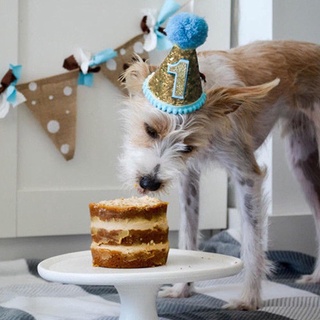 Headwear Dog Cat Accessory Pet Birthday Party Costume Hat (5)