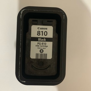Canon PG810 Used or Empty Ink Cartridge
