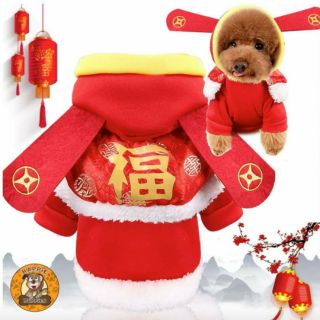 Lucky Hok Pet Hoodie Pet Dog Cat Clothes Costume CNY Chinese New Year