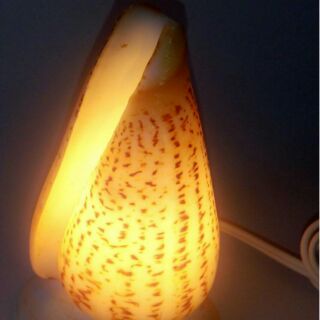 [COD] Conus Lamp Shade Shellcraft
